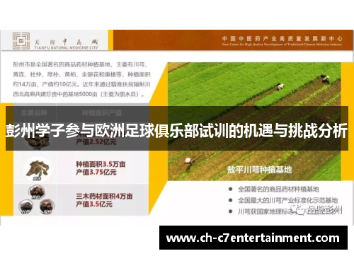 彭州学子参与欧洲足球俱乐部试训的机遇与挑战分析 彭州学子参与欧洲足球俱乐部试训的机遇与挑战分析