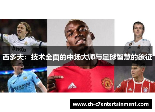 西多夫:技术全面的中场大师与足球智慧的象征 西多夫:技术全面的中场大师与足球智慧的象征