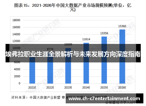 埃弗拉职业生涯全景解析与未来发展方向深度指南 埃弗拉职业生涯全景解析与未来发展方向深度指南